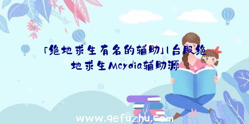 「绝地求生有名的辅助」|台服绝地求生Mcydia辅助源